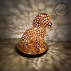 barboncino marrone illuminato