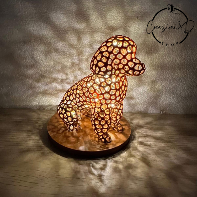 barboncino marrone illuminato