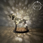 bracco italiano luminoso personalizzato made in italy