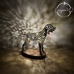 lampada bracco italiano idea regalo