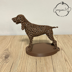 lampada cane bracco italiano personalizzabile con nome