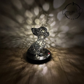 luce nottura amante cani